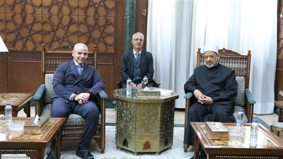 شيخ الأزهر: بعض القوى الدولية تستخدم مصطلح حل الدولتين للمناورة وليس للتوصل إلى حل عادل للقضية الفلسطينية