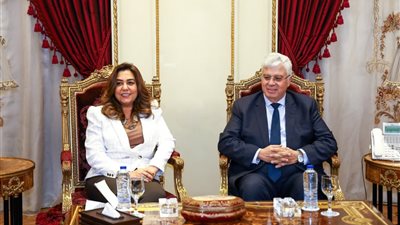 وزيرا التعليم العالي والتنمية المحلية