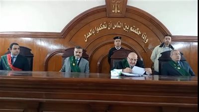 إحالة أوراق المتهم بخطف صغيرة وهتك عرضها بالبحيرة للمفتي