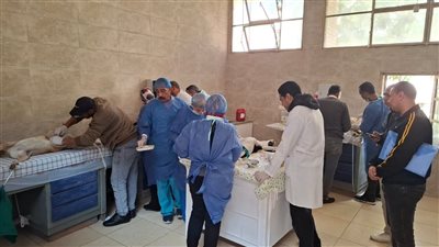 للحد من انتشار الكلاب الضالة وتحقيق توازن بيئي.. جامعة الإسكندرية تطلق المرحلة الثانية من مبادرة نحو بيئة آمنة 