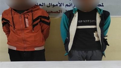 إحنا موظفين خدمة العملاء.. القبض على شخصين بالمنيا بتهمة النصب على المواطنين 