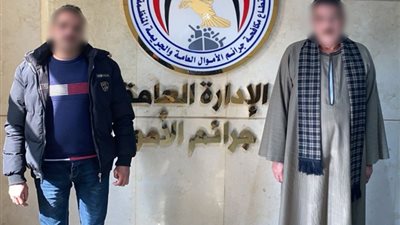 انتحلا صفة موظفين.. القبض على شخصين لاتهامهما بالنصب على مواطنين للتغاضي عن إثبات مخالفات موجودة بعدادات الكهرباء