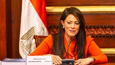 المشاط: 17 مليار دولار تمويلات تنموية ميسرة للقطاع الخاص منذ 2020