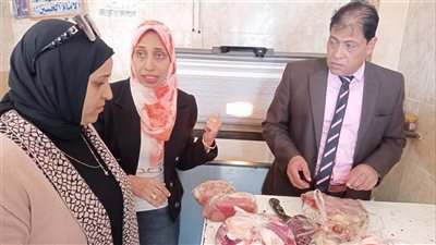 ضبط 100 كيلو كبدة مجمدة ومصنعات لحوم ودواجن غير صالحة للاستهلاك بالأقصر