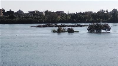 تيار المياه يجرف جزيرة وتستقر بمنتصف نهر النيل في دلهمو بالمنوفية