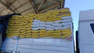 جمارك السلوم تضبط محاولة تهريب كمية من البذور الزراعية الممنوع تصديرها بقيمة 700 ألف جنيه