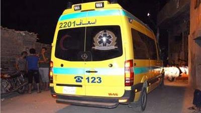 حالتهما خطيرة.. إصابة شقيقين إثر حادث تصادم سيارة ربع نقل مع عربة كارو في قنا| أسماء