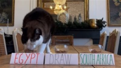 قط يتوقع فوز مصر على جنوب إفريقيا بكأس الأمم