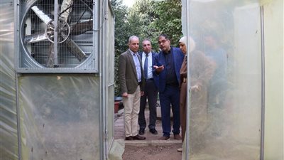 هندسة عين شمس تنفذ مشروعًا لإزالة الرطوبة من الهواء وتوليد المياه داخل الدفيئات الزراعية