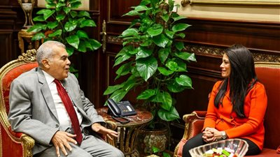 وزيرة التخطيط تلتقي رئيس مجلس الشيوخ لتعزيز التنسيق والتعاون بين السلطتين التنفيذية والتشريعية