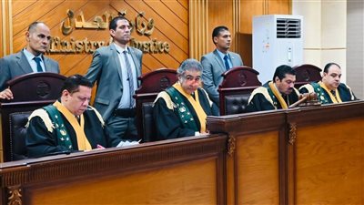 غدا.. استكمال محاكمة فتى الدارك ويب والاستماع لشاهدي الإثبات