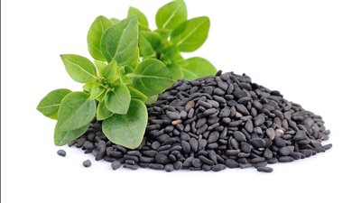 نوع بذور يمنع ارتفاع نسبة السكر في الدم.. تعرف عليه