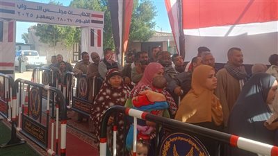 بدء جولة الإعادة بالدائرتين الأولى والرابعة بالفيوم