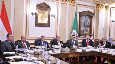 رغم وفاتها.. جامعة القاهرة توافق على انعقاد مناقشة شرفية للباحثة سلوى محمود المقيدة بدرجة الدكتوراه 