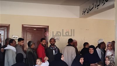 طوابير من كبار السن أمام لجان جولة الإعادة بانتخابات مجلس النواب في الفيوم