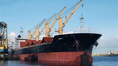 تداول 56 ألف طن بضائع و1154 شاحنة بموانئ البحر الأحمر ووصول 32 ألف طن ألومنيوم إلى سفاجا