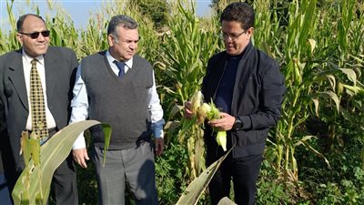 رئيس جامعة بنها يتفقد الوحدات الإنتاجية بزراعة مشتهر.. ويؤكد: نسعى لتسويق خدمات الجامعة