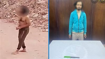 الداخلية تكشف تفاصيل ترويع مهتز نفسيًا للمواطنين بسلاح أبيض في المرج.. ووالدته: يرفض تلقي العلاج 