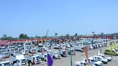 قوات الدفاع الشعبي والعسكري تنفذ تدريبًا عمليًا لمجابهة الأزمات والكوارث بالشرقية وأسوان