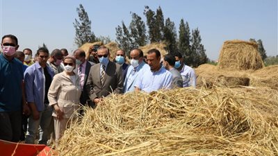 وزيرة البيئة تستعرض نتائج خطة مواجهة نوبات تلوث الهواء الحاد