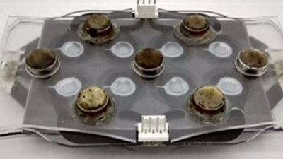 علماء أمريكيون يطورون جهازا سريعا لاختبار مقاومة المضادات الحيوية (دراسة)