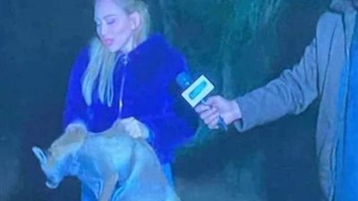 أول تعليق من ريهام سعيد عقب الهجوم عليها بسبب حلقة “صيد الثعالب” (صورة)