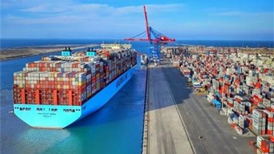 الرقابة على الصادرات والواردات تمنع استيراد المنتجات لمصر من 26 شركة أجنبية