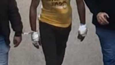 لاتخاذ إجراءات رد المحكمة.. تأجيل محاكمة المتهم بحرق سيدة الإسكندرية للغد