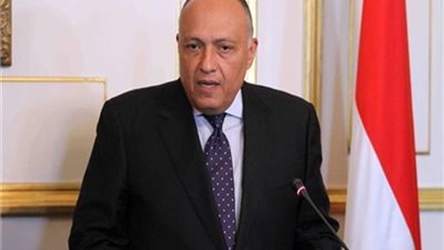 وزير الخارجية: أجهزة الدولة دائمًا تهتم بقضايا حقوق الإنسان 