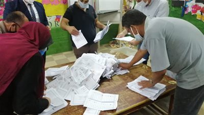 مؤشرات أولية.. تقدم حبيب وفايد في السباق الانتخابي بدائرة كفر الزيات