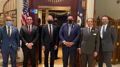 وفد شيوخ تنسيقية شباب الأحزاب يناقشون دور مصر المحوري مع السفير الأمريكي