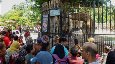 “حديقة الحيوان”: لا يوجد لدينا أي أعراض إصابة بفيروس كورونا