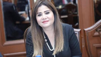 “أمل رمزي”: المبادرات الرئاسية أبرز إنجازات الدولة في ملفات حقوق الإنسان