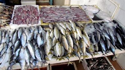 البلطي بـ16 جنيهًا.. أسعار السمك اليوم السبت 12 ديسمبر 2020