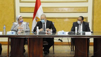 وزيرا الإسكان والبيئة يدرسان مشروع تطوير جبال سيناء