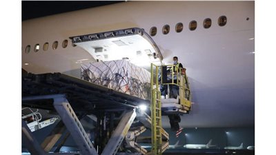 بشحنة اليوم.. 50 ألف شخص مؤكد حصولهم على لقاح كورونا في مصر