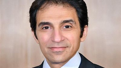 متحدث الرئاسة: الموقف المصري الإماراتي من التدخلات الخارجية متطابق