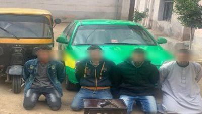 القبض على المتهمين في واقعة اختطاف طفل بالبحيرة