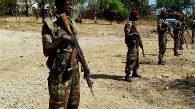 الاتحاد الإفريقي: إثيوبيا قامت بـ