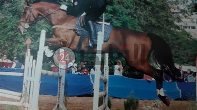 مفاجأة.. 15 من خيول أكاديمية الشرطة تنتمي فصيلتها لخيل اقتناها النبي محمد (مستند) 