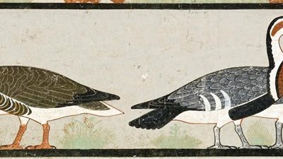 هل سيتم نقل 