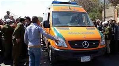 حولته إلى أشلاء.. مصرع شخص دهسته سيارة مُسرعة بالشرقية ولاذ قائدها بالفرار