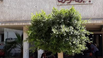 وفاة ممرضة بمستشفى بسيون المركزي بعد إصابتها بفيروس كورونا