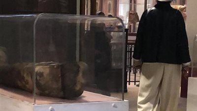 خاص.. نائبة الإساءة لمصر في قلب القاهرة.. وتحريك بلاغات لترحيلها فورا