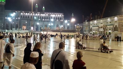 “الجراد” ينتشر فى المسجد الحرام (صور)