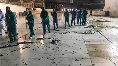 أول رد رسمي من المملكة حول حقيقة منع الصلاة في الحرم المكي بسبب “الجراد”