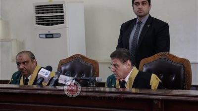 قاضى محاكمة دومة: المواطنة ليست شعارات لأشخاص تحسبهم للوطن حماة وهم ألد الخصام