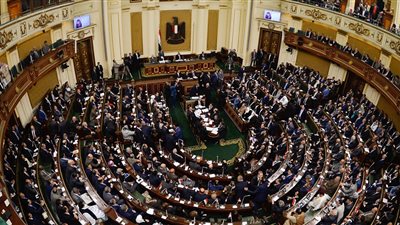 برلمانى: مهلة لأصحاب المحال المخالفة لتوفيق أوضاعهم (فيديو)