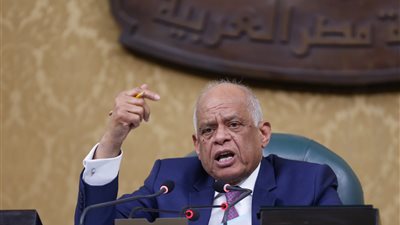 وفد برلماني مصري يطير إلى الكويت في زيارة تستغرق 5 أيام