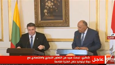 وزير الخارجية لنظيره الليتوانى: بحث دعم العلاقات الثنائية وإنشاء مجلس تجاري بين البلدين